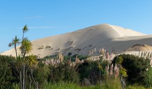 Preview wallpaper hill, sand, plants, nature, landscape