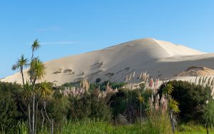 Preview wallpaper hill, sand, plants, nature, landscape