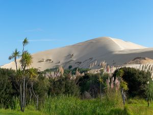 Preview wallpaper hill, sand, plants, nature, landscape