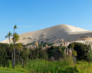 Preview wallpaper hill, sand, plants, nature, landscape