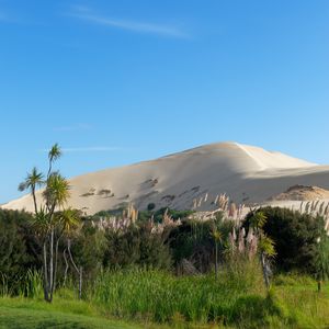 Preview wallpaper hill, sand, plants, nature, landscape
