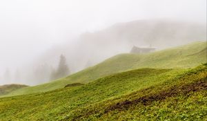 Preview wallpaper hill, slope, grass, house, fog