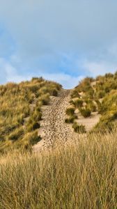 Preview wallpaper hill, slope, grass, path, footprints