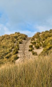 Preview wallpaper hill, slope, grass, path, footprints