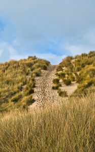 Preview wallpaper hill, slope, grass, path, footprints