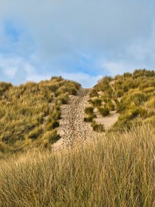 Preview wallpaper hill, slope, grass, path, footprints