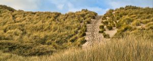 Preview wallpaper hill, slope, grass, path, footprints