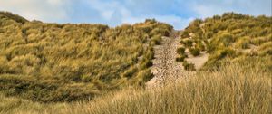 Preview wallpaper hill, slope, grass, path, footprints