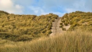 Preview wallpaper hill, slope, grass, path, footprints