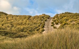 Preview wallpaper hill, slope, grass, path, footprints