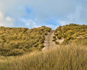 Preview wallpaper hill, slope, grass, path, footprints