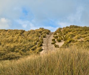 Preview wallpaper hill, slope, grass, path, footprints