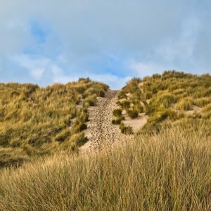 Preview wallpaper hill, slope, grass, path, footprints