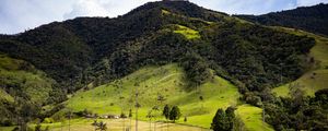 Preview wallpaper hill, slope, grass, trees, nature