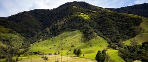 Preview wallpaper hill, slope, grass, trees, nature