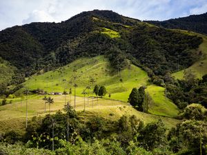 Preview wallpaper hill, slope, grass, trees, nature