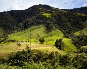 Preview wallpaper hill, slope, grass, trees, nature