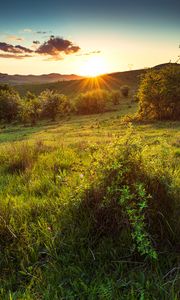 Preview wallpaper hill, slope, rays, grass, sun