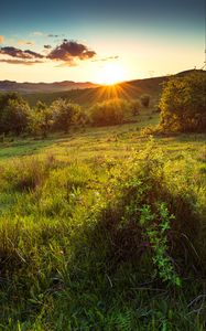 Preview wallpaper hill, slope, rays, grass, sun
