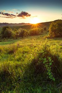 Preview wallpaper hill, slope, rays, grass, sun