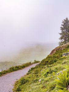 Preview wallpaper hill, slope, road, grass, nature