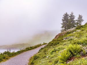 Preview wallpaper hill, slope, road, grass, nature