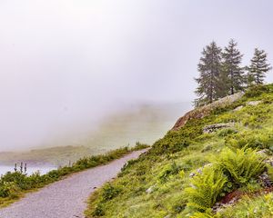 Preview wallpaper hill, slope, road, grass, nature