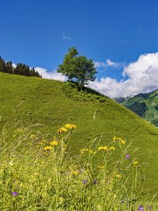 Preview wallpaper hill, slope, tree, grass