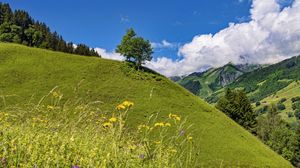 Preview wallpaper hill, slope, tree, grass