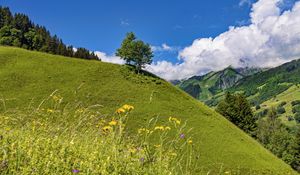 Preview wallpaper hill, slope, tree, grass