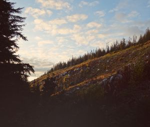 Preview wallpaper hill, slope, trees, dark, landscape