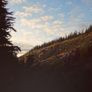 Preview wallpaper hill, slope, trees, dark, landscape