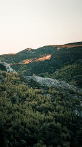 Preview wallpaper hill, slope, trees, forest, sky