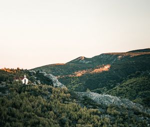 Preview wallpaper hill, slope, trees, forest, sky