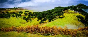 Preview wallpaper hill, slope, trees, nature