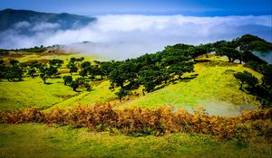 Preview wallpaper hill, slope, trees, nature