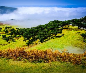 Preview wallpaper hill, slope, trees, nature