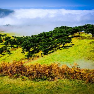 Preview wallpaper hill, slope, trees, nature