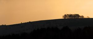 Preview wallpaper hill, slopes, trees, silhouettes, evening