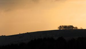 Preview wallpaper hill, slopes, trees, silhouettes, evening