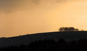 Preview wallpaper hill, slopes, trees, silhouettes, evening