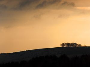 Preview wallpaper hill, slopes, trees, silhouettes, evening