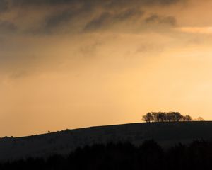 Preview wallpaper hill, slopes, trees, silhouettes, evening