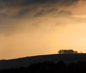 Preview wallpaper hill, slopes, trees, silhouettes, evening
