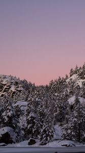 Preview wallpaper hill, snow, trees, winter, dusk, landscape