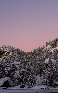 Preview wallpaper hill, snow, trees, winter, dusk, landscape