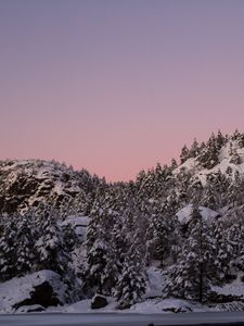 Preview wallpaper hill, snow, trees, winter, dusk, landscape