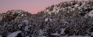 Preview wallpaper hill, snow, trees, winter, dusk, landscape