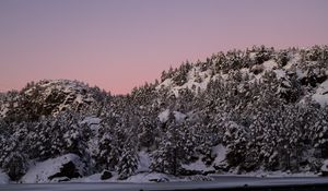 Preview wallpaper hill, snow, trees, winter, dusk, landscape