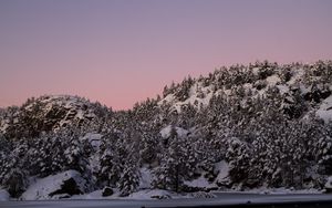 Preview wallpaper hill, snow, trees, winter, dusk, landscape